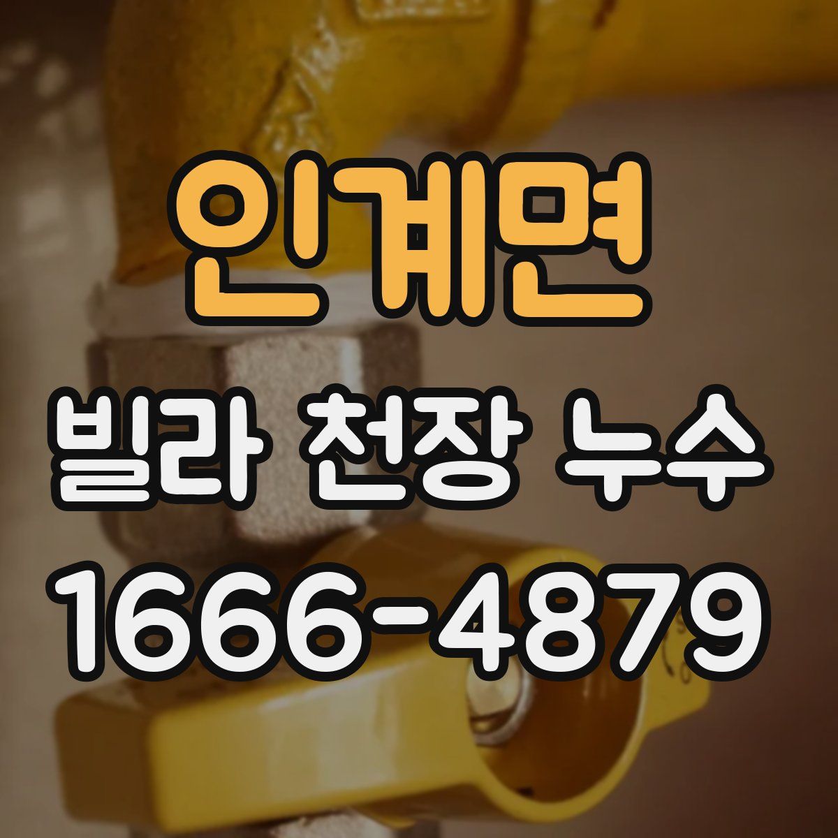 인계면 빌라 천장 누수
