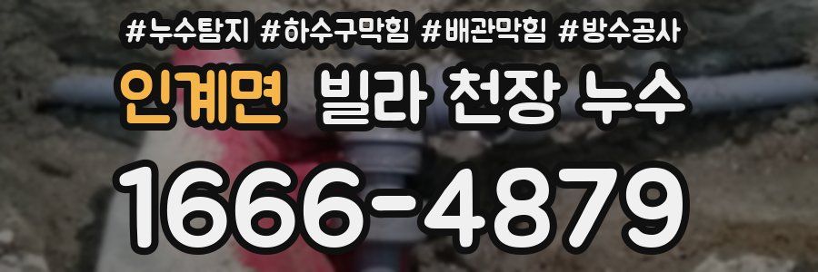 인계면 빌라 천장 누수