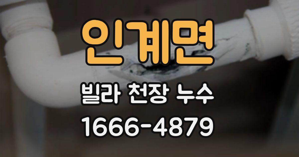 인계면 빌라 천장 누수