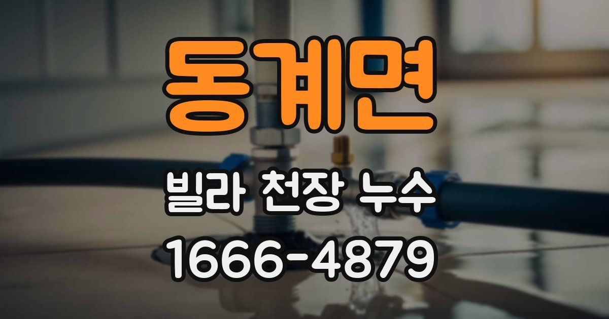 동계면 빌라 천장 누수