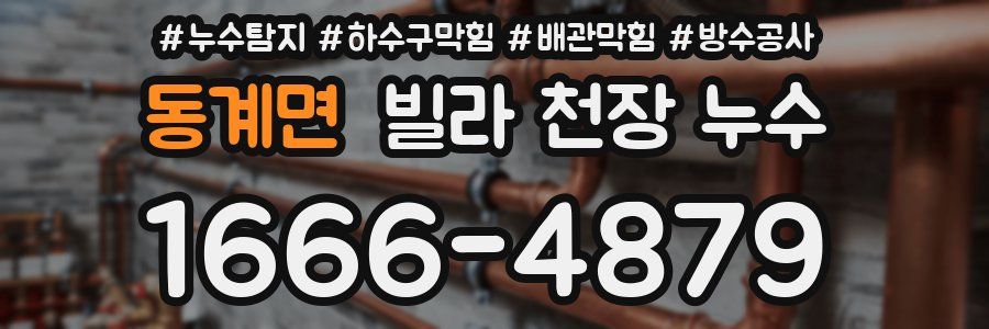 동계면 빌라 천장 누수