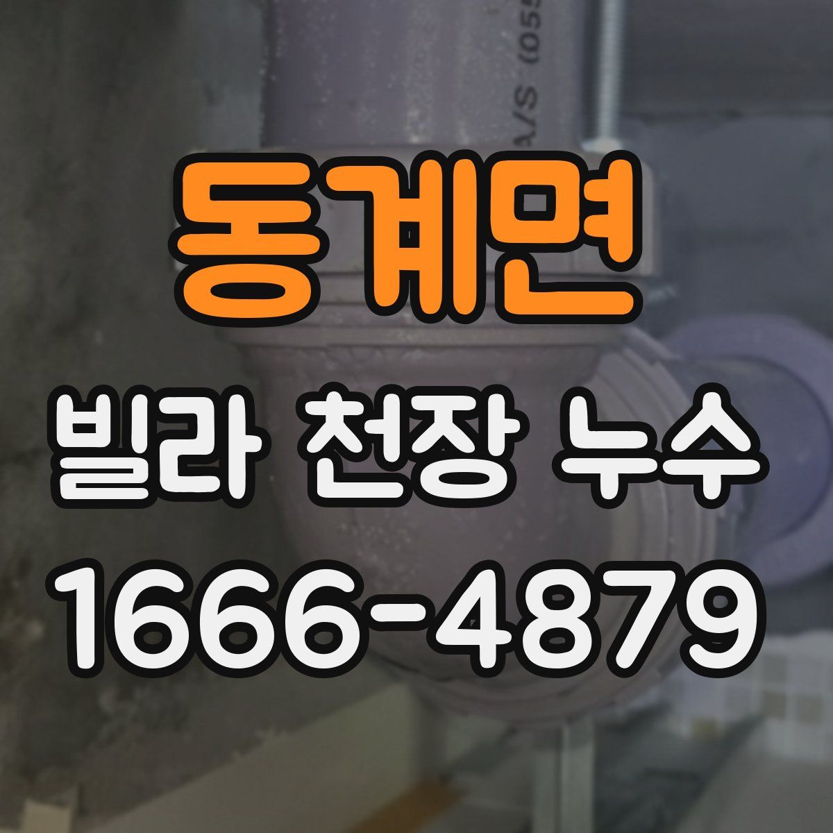 동계면 빌라 천장 누수
