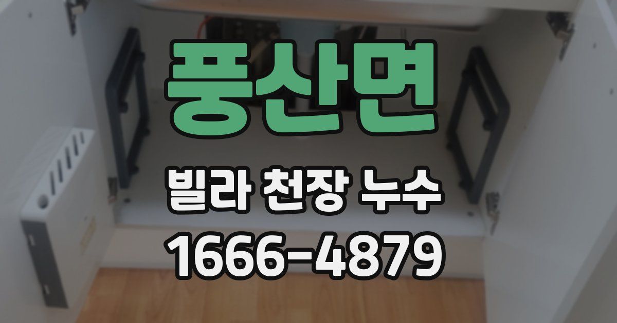 풍산면 빌라 천장 누수