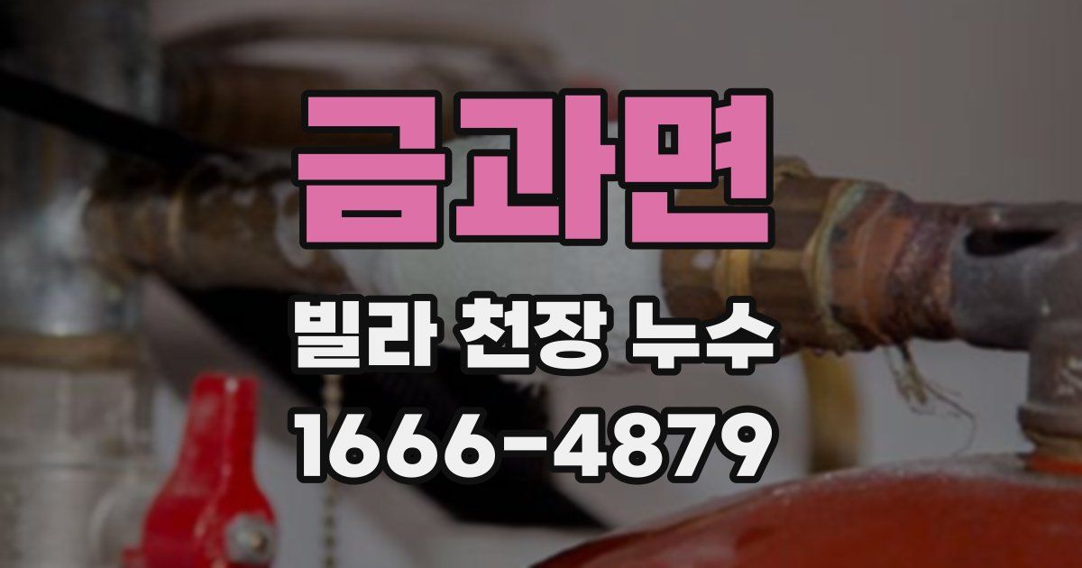 금과면 빌라 천장 누수