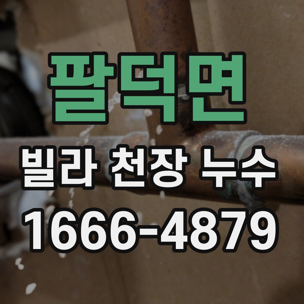 팔덕면 빌라 천장 누수