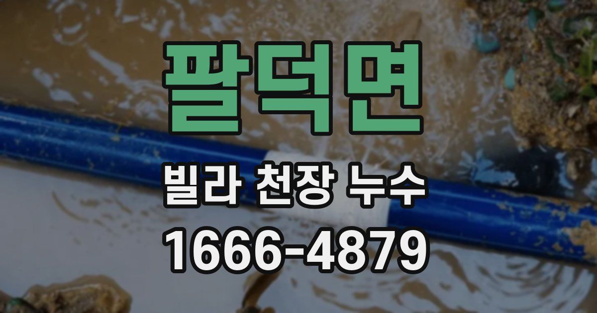 팔덕면 빌라 천장 누수