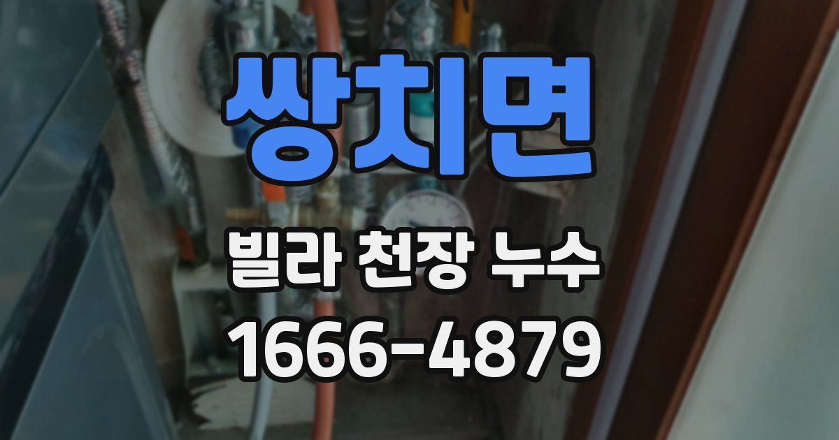 쌍치면 빌라 천장 누수