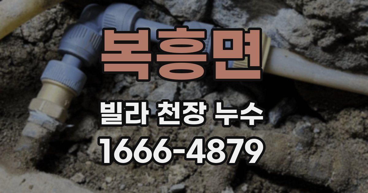 복흥면 빌라 천장 누수