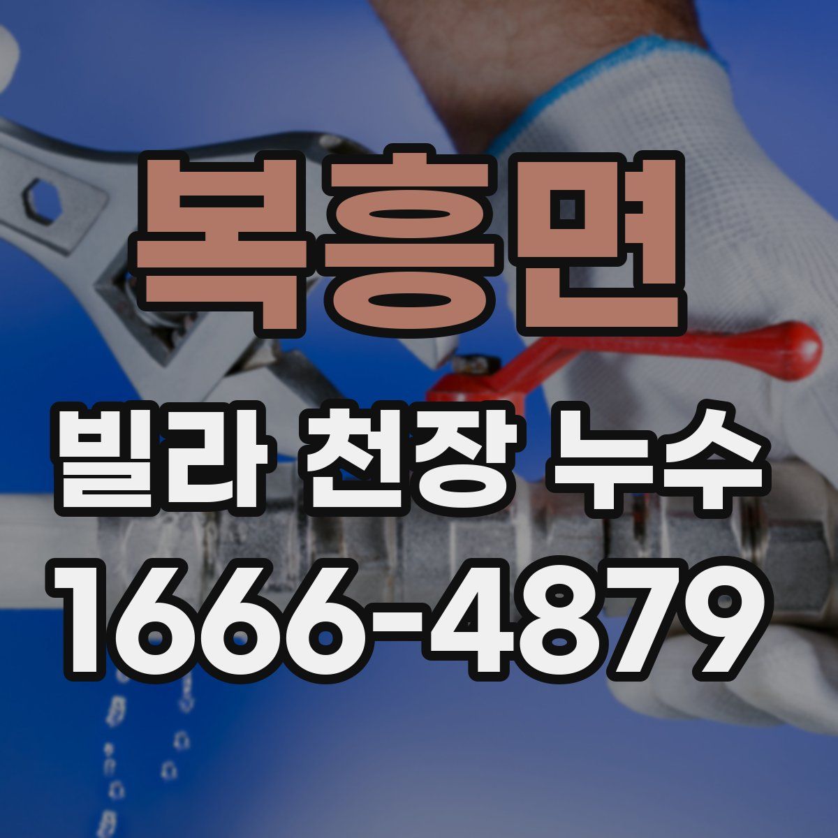 복흥면 빌라 천장 누수