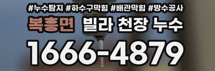 복흥면 빌라 천장 누수