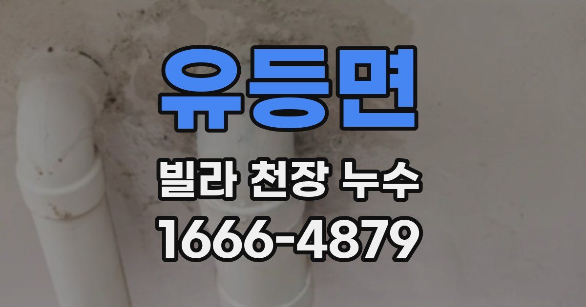 유등면 빌라 천장 누수
