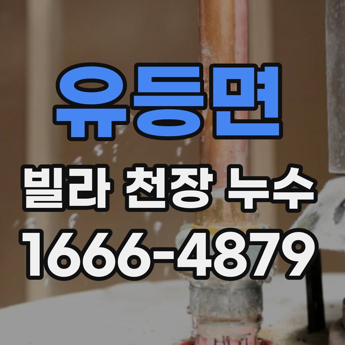 유등면 빌라 천장 누수