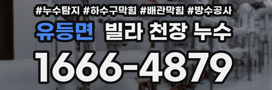 유등면 빌라 천장 누수