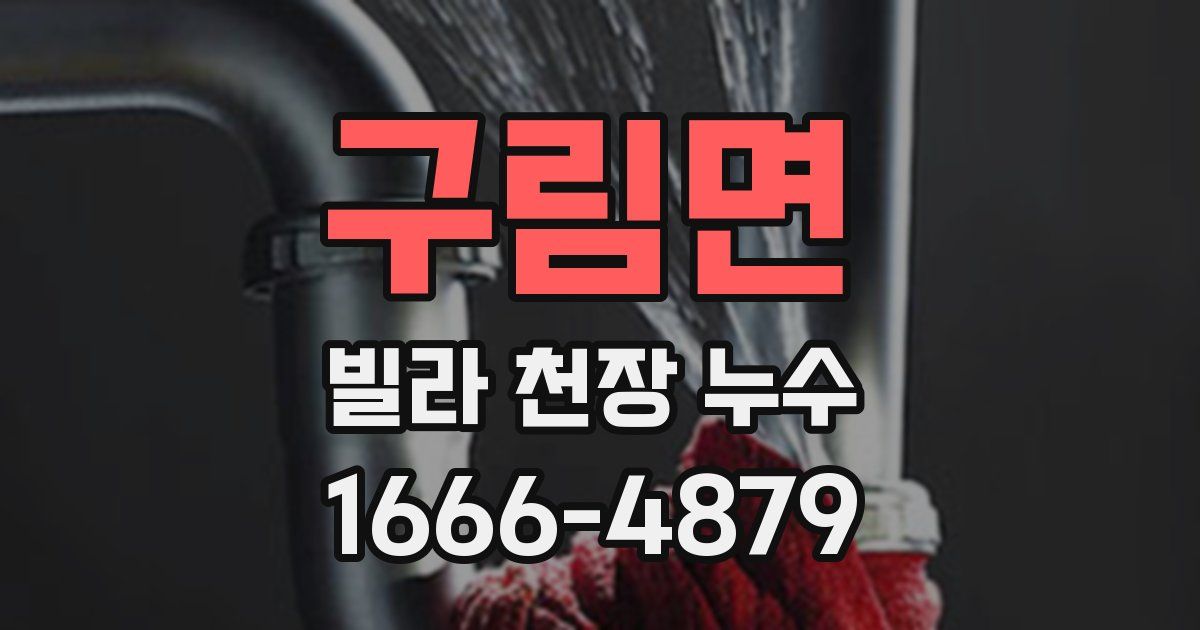 구림면 빌라 천장 누수