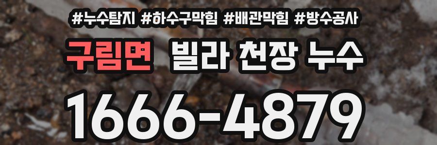 구림면 빌라 천장 누수