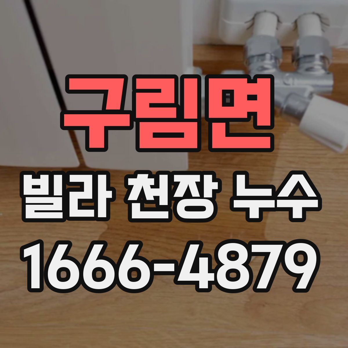 구림면 빌라 천장 누수