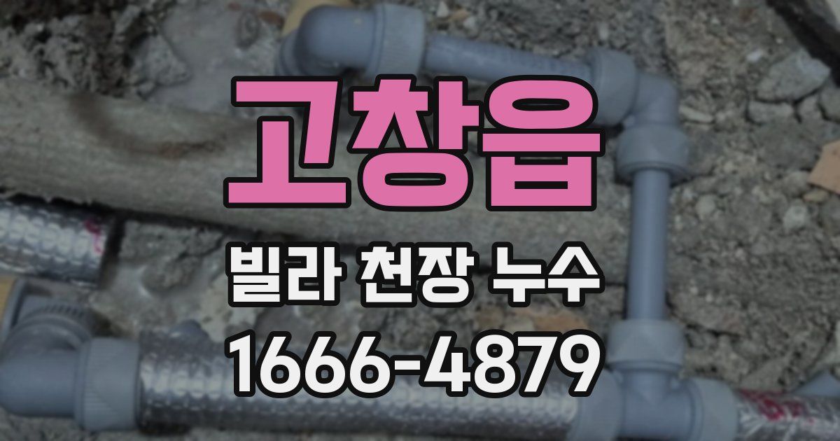 고창읍 빌라 천장 누수