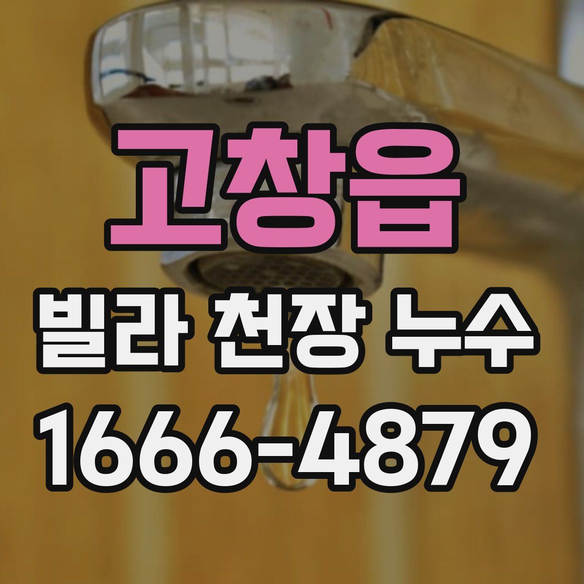고창읍 빌라 천장 누수