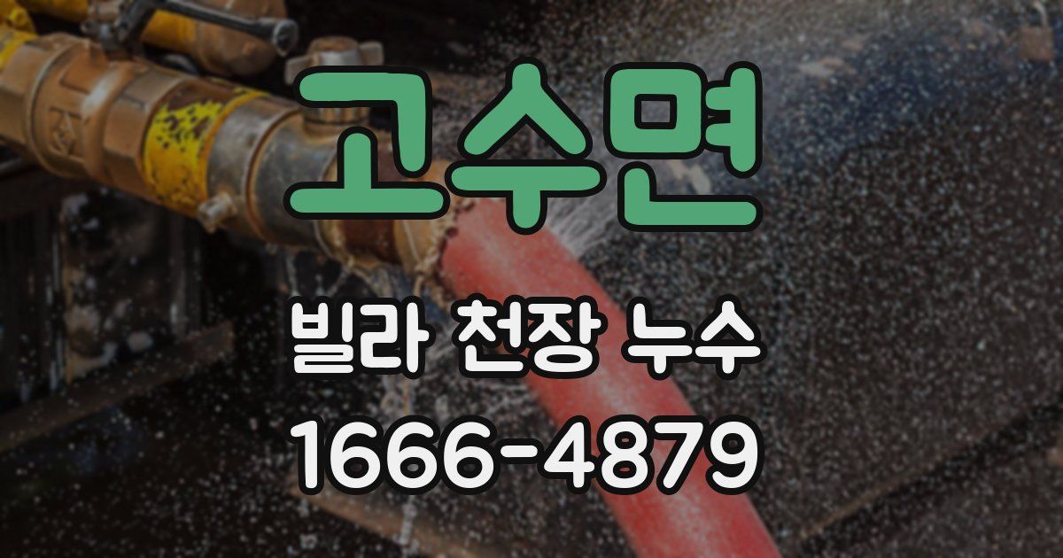 고수면 빌라 천장 누수