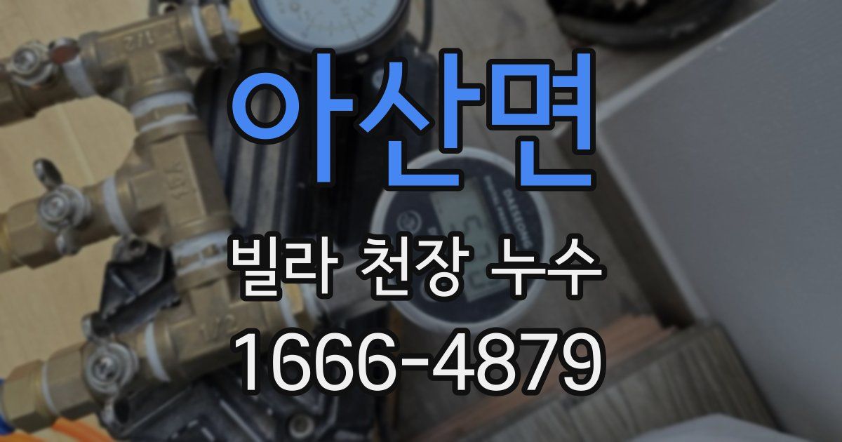 아산면 빌라 천장 누수