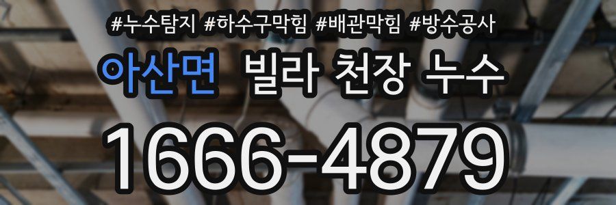 아산면 빌라 천장 누수