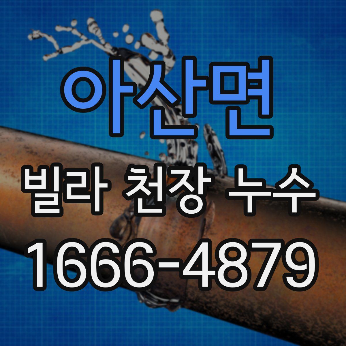 아산면 빌라 천장 누수