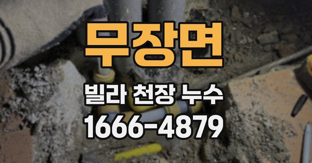 무장면 빌라 천장 누수