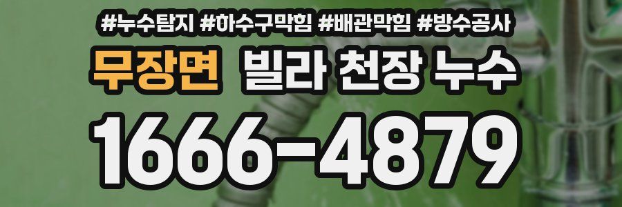 무장면 빌라 천장 누수