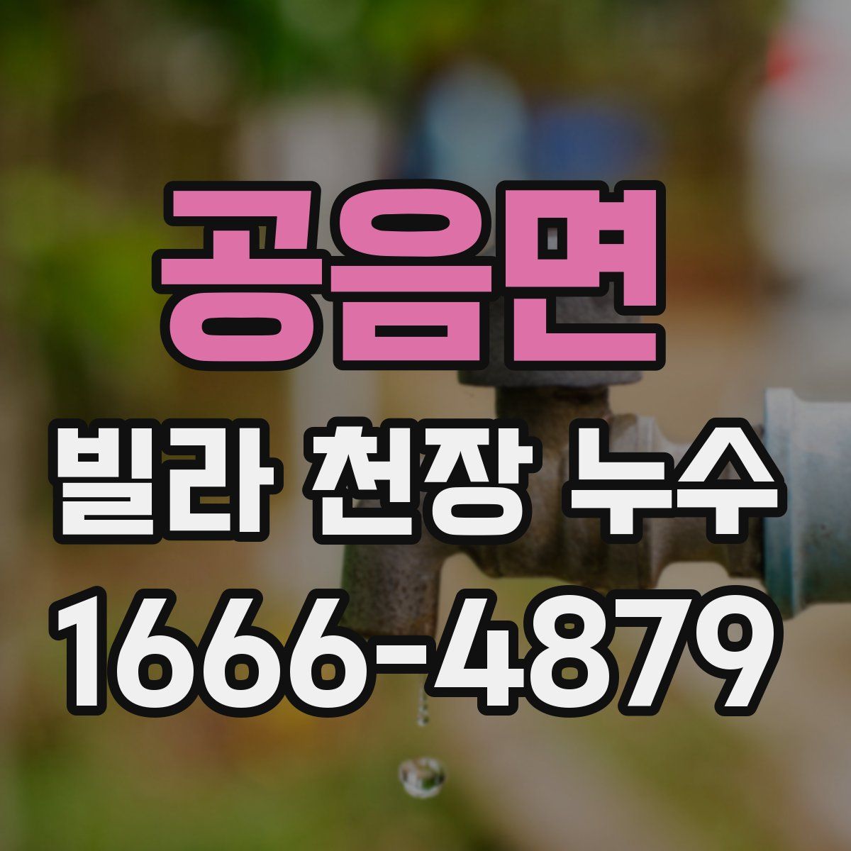 공음면 빌라 천장 누수