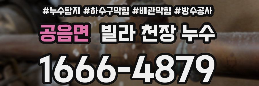 공음면 빌라 천장 누수