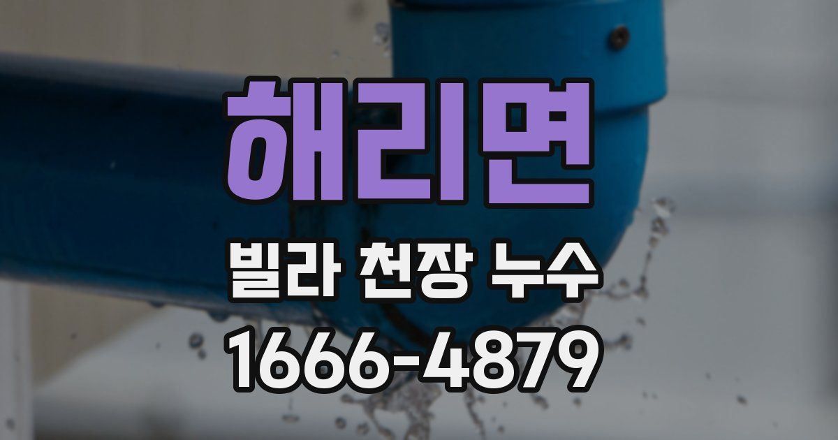 해리면 빌라 천장 누수