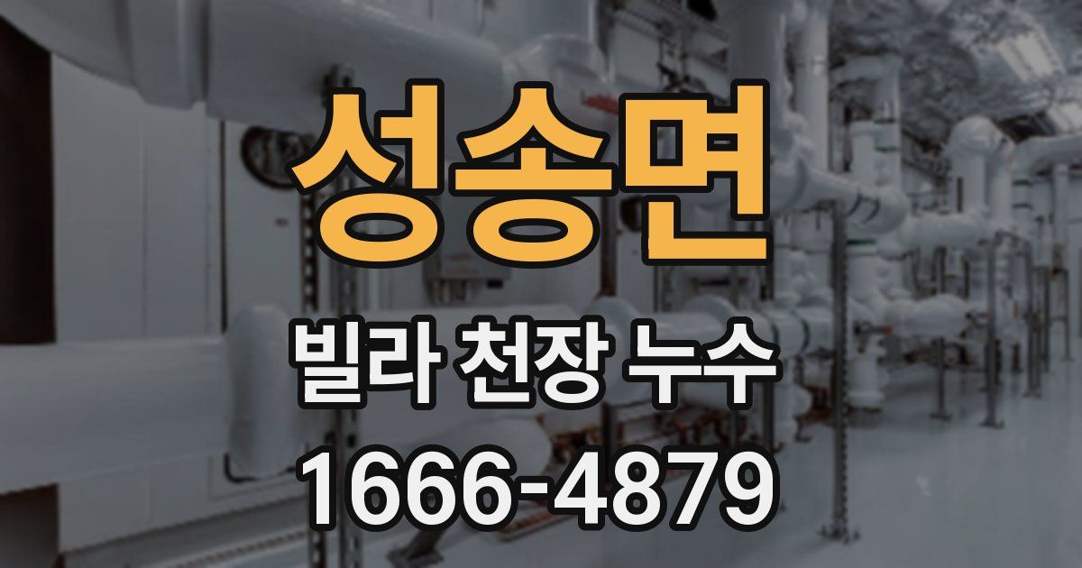 성송면 빌라 천장 누수