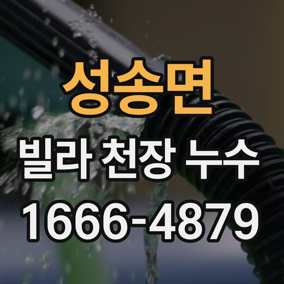 성송면 빌라 천장 누수