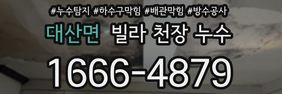 대산면 빌라 천장 누수