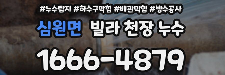 심원면 빌라 천장 누수