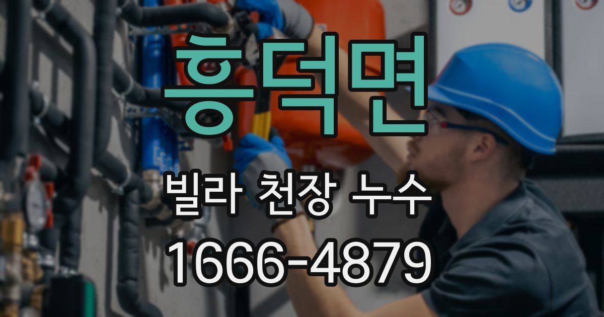 흥덕면 빌라 천장 누수