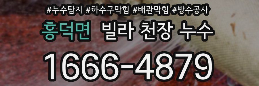 흥덕면 빌라 천장 누수