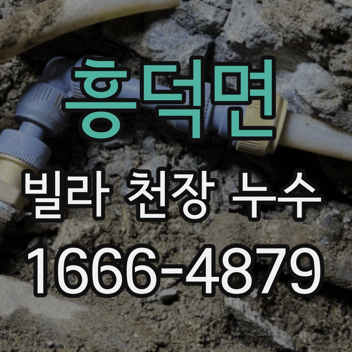 흥덕면 빌라 천장 누수