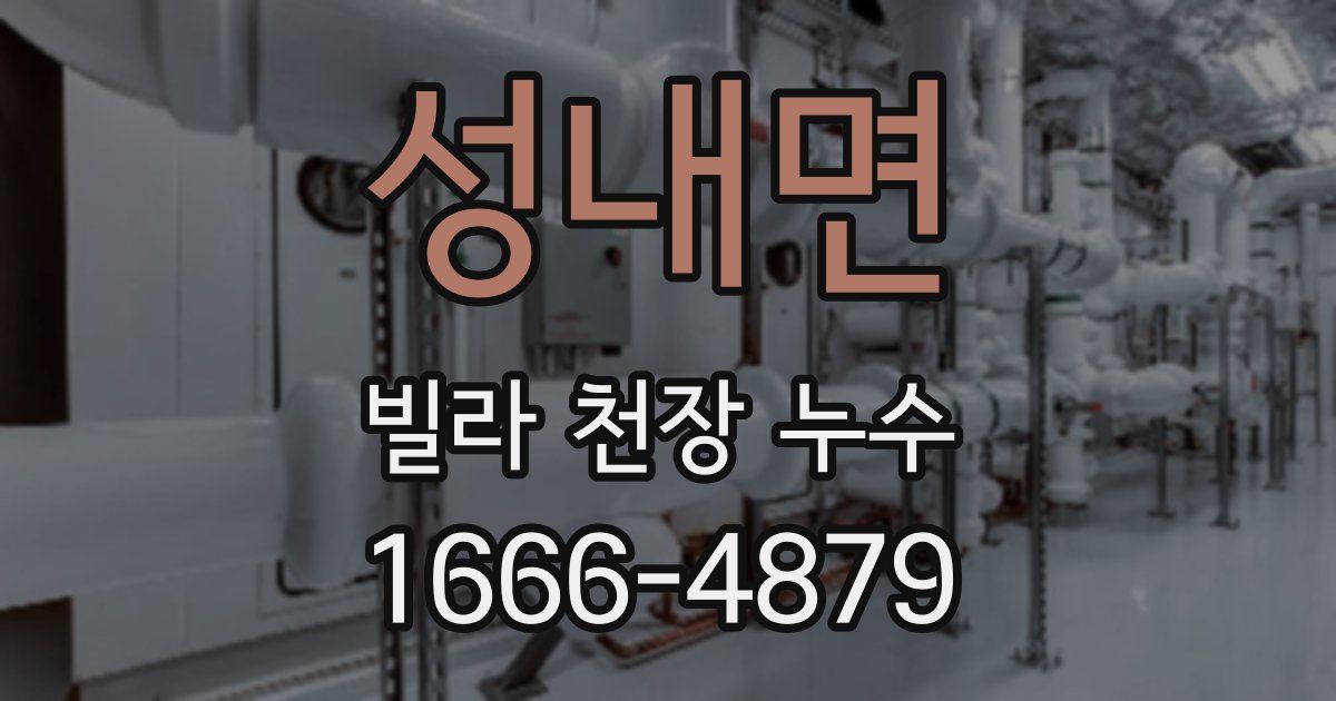 성내면 빌라 천장 누수