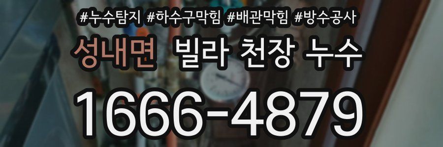 성내면 빌라 천장 누수