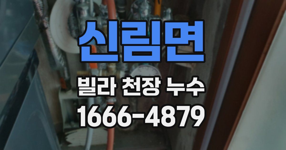 신림면 빌라 천장 누수