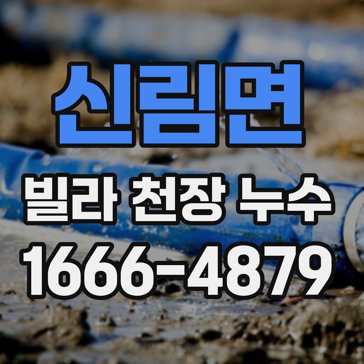 신림면 빌라 천장 누수