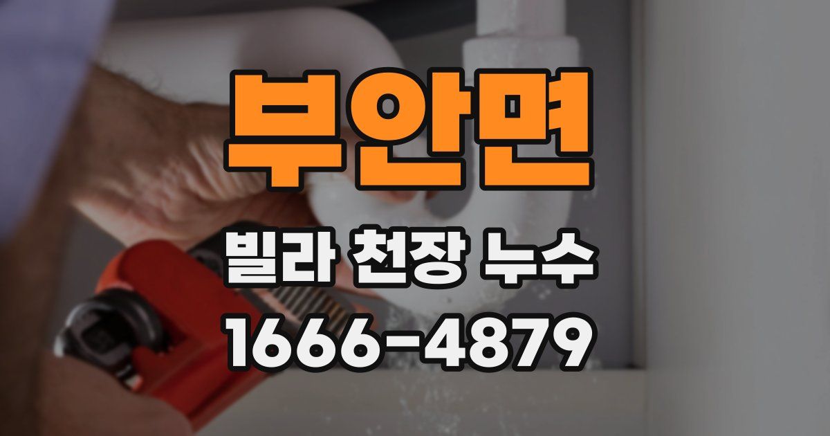 부안면 빌라 천장 누수