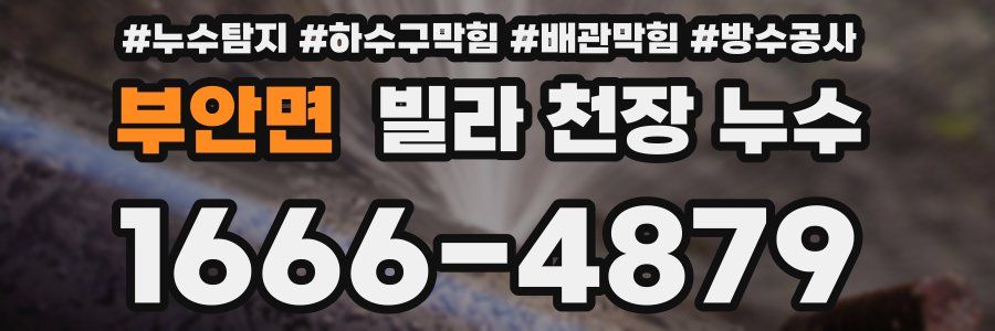 부안면 빌라 천장 누수