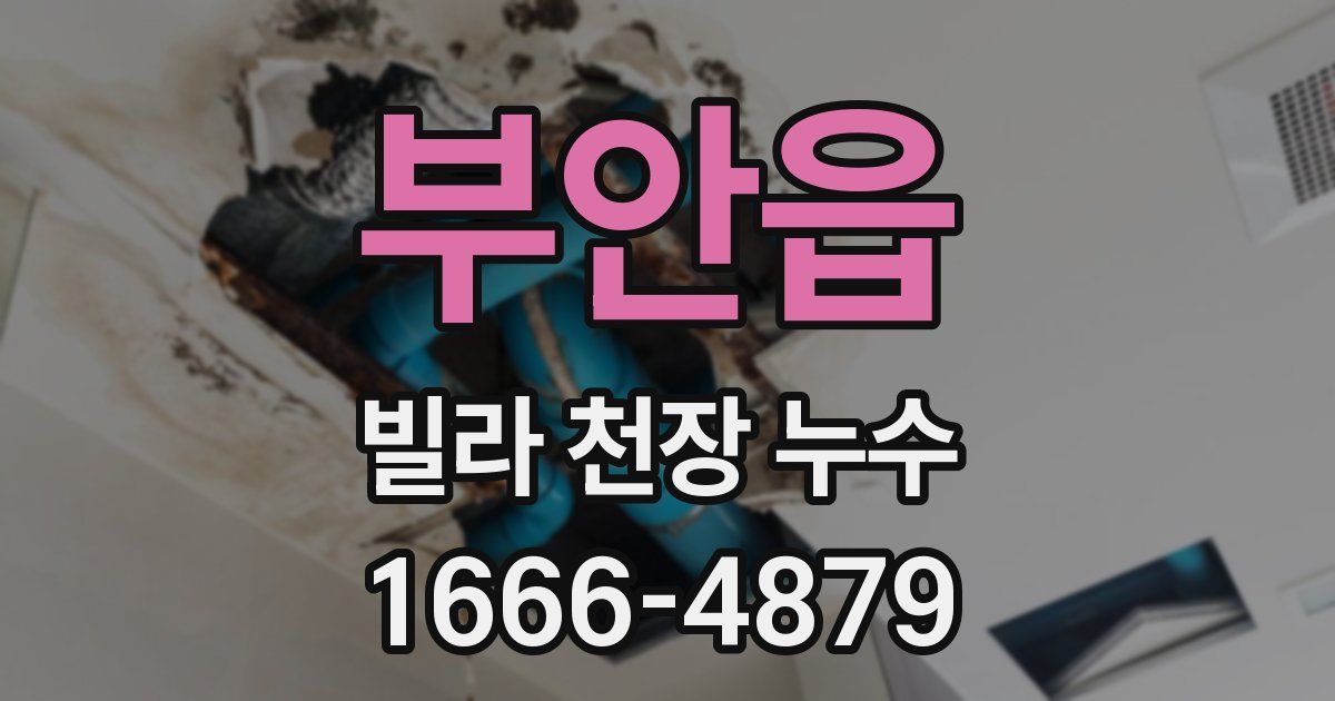 부안읍 빌라 천장 누수