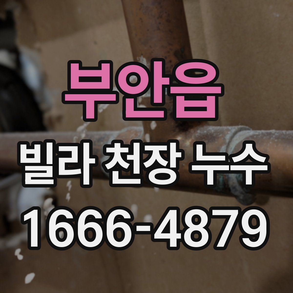 부안읍 빌라 천장 누수