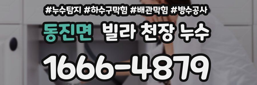 동진면 빌라 천장 누수