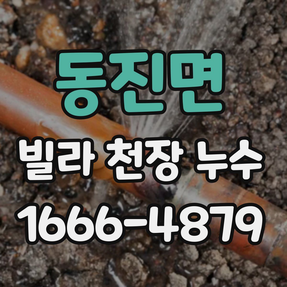 동진면 빌라 천장 누수
