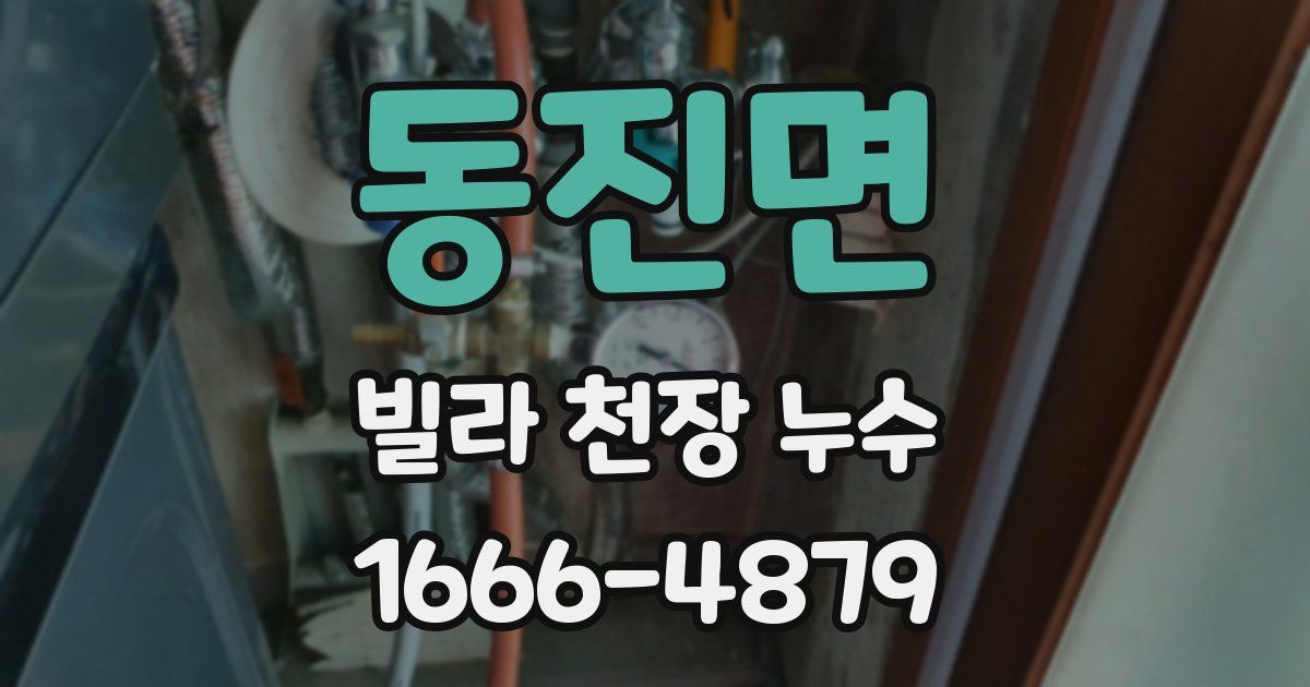 동진면 빌라 천장 누수
