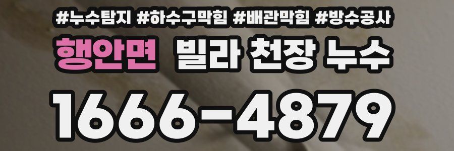행안면 빌라 천장 누수